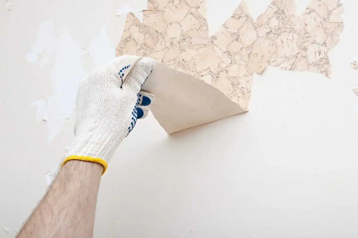 decol'papier Behangverwijderaar
